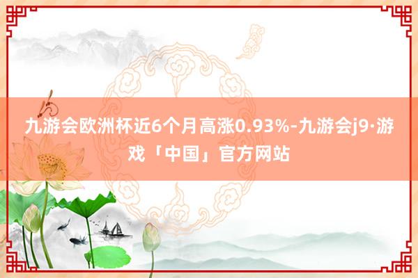 九游会欧洲杯近6个月高涨0.93%-九游会j9·游戏「中国」官方网站