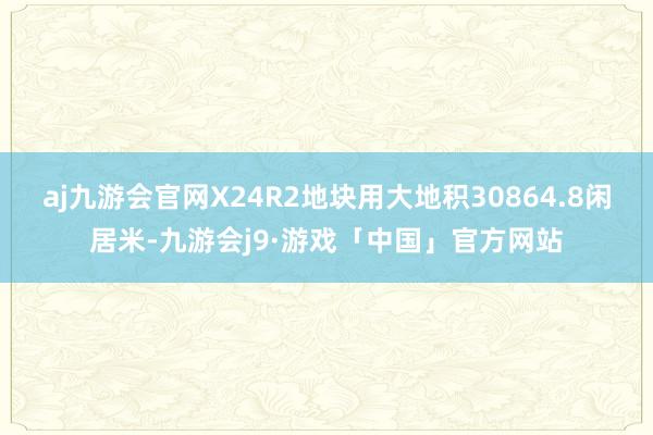 aj九游会官网X24R2地块用大地积30864.8闲居米-九游会j9·游戏「中国」官方网站