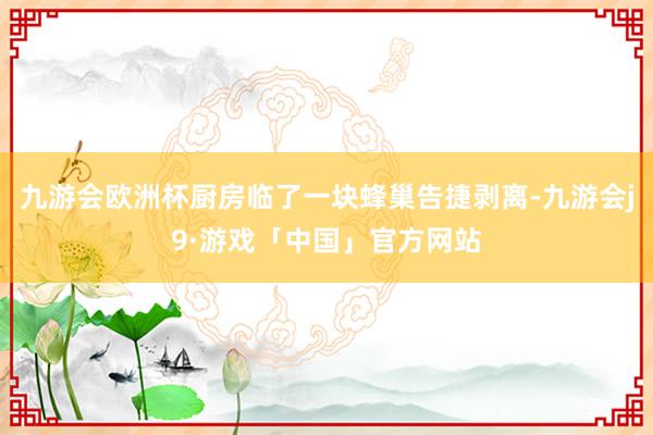 九游会欧洲杯厨房临了一块蜂巢告捷剥离-九游会j9·游戏「中国」官方网站