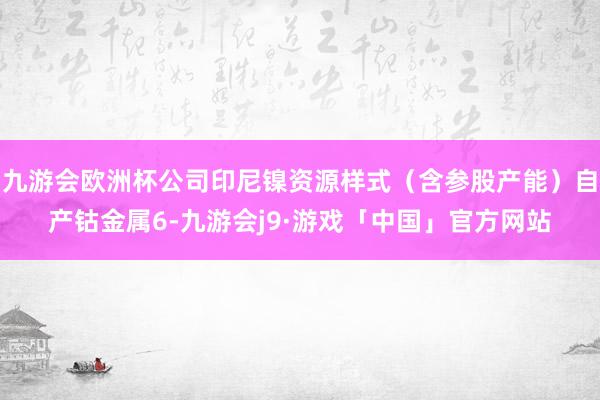 九游会欧洲杯公司印尼镍资源样式（含参股产能）自产钴金属6-九游会j9·游戏「中国」官方网站
